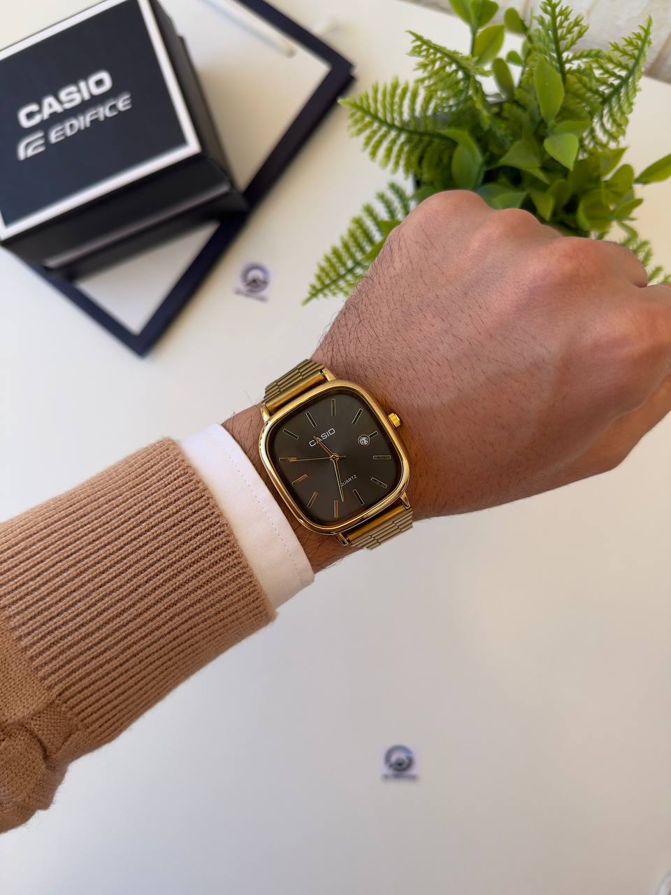 Casio Old Money