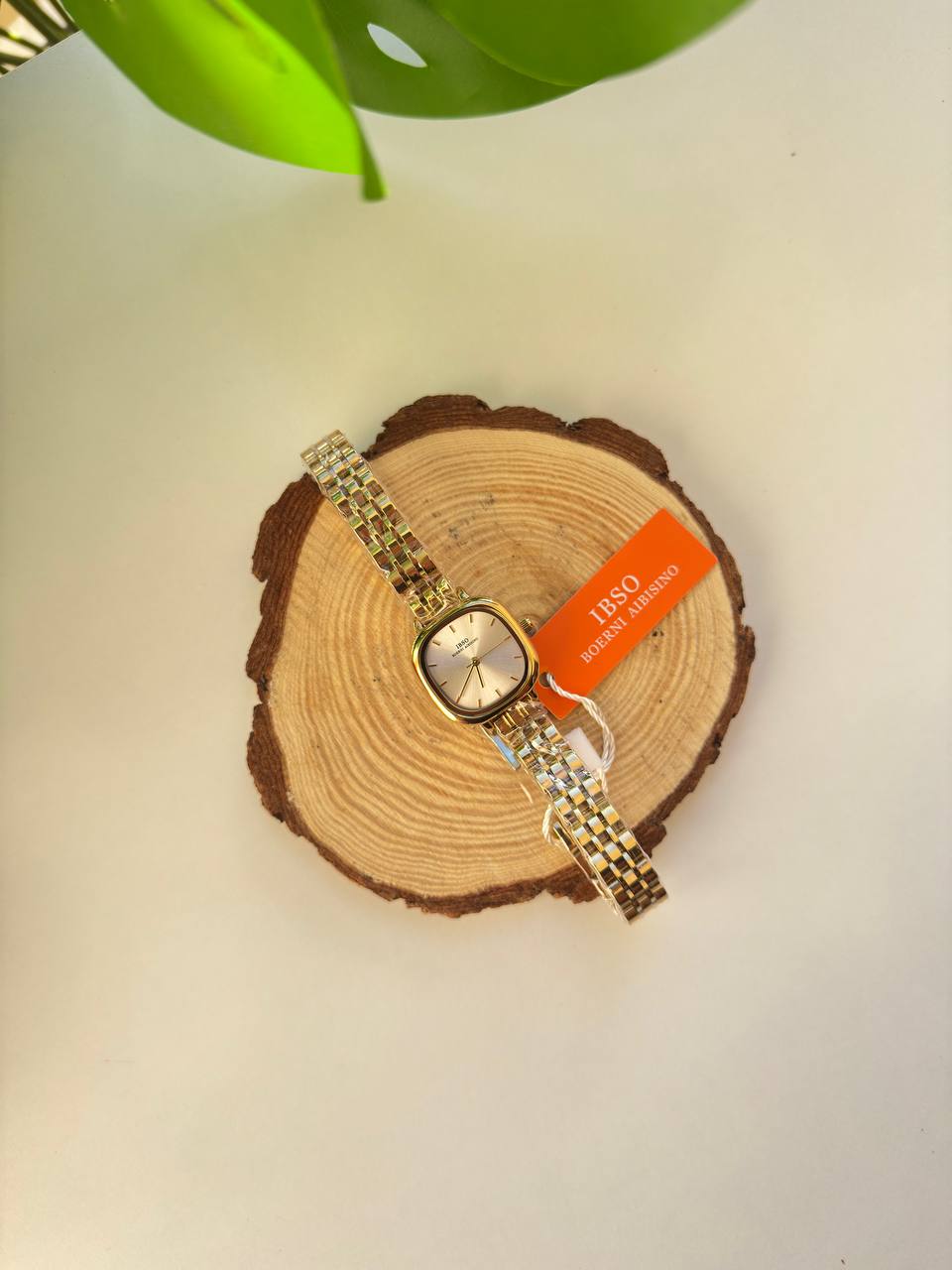 Ibso Women Collection